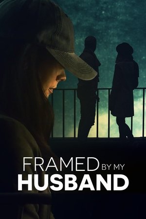 Watch Full Movie: Framed by My Husband (2021)
