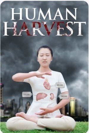 Watch Free Human Harvest (2014)
