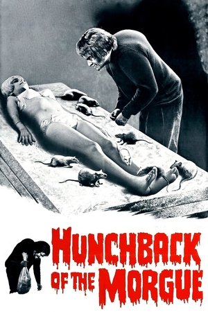 Watch Free Hunchback of the Morgue (1973)