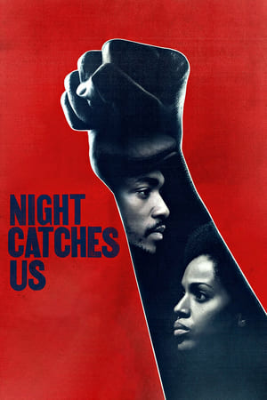 Watch Free Night Catches Us (2010)