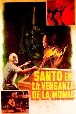 Watch Free Santo in the Vengeance of the Mummy (1971)