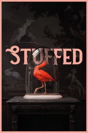 Watch Free Stuffed (2019)