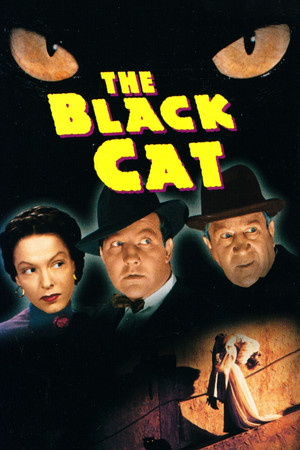 Watch Free The Black Cat (1941)