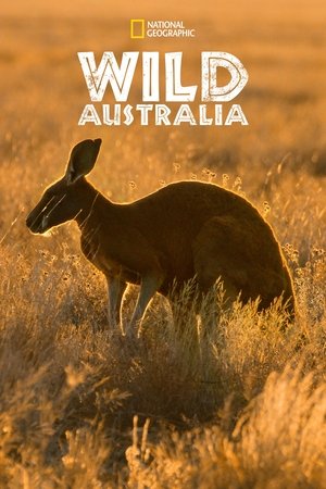 Watch Free Wild Australia (2014)