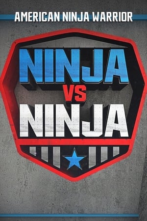 Watch Free American Ninja Warrior: Ninja vs Ninja (2018)