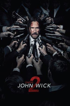 Watch Free John Wick: Chapter 2 (2017)