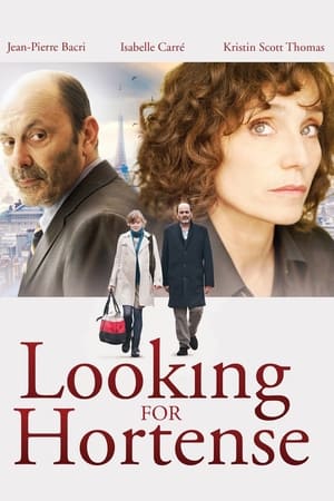 Watch Free Looking for Hortense (2012)