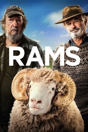 Watch Free Rams (2020)