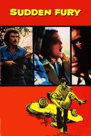 Watch Free Sudden Fury (1975)