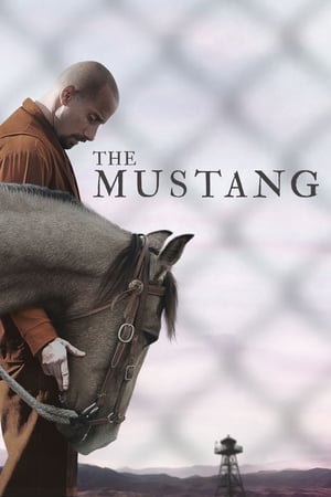Watch Free The Mustang (2019)