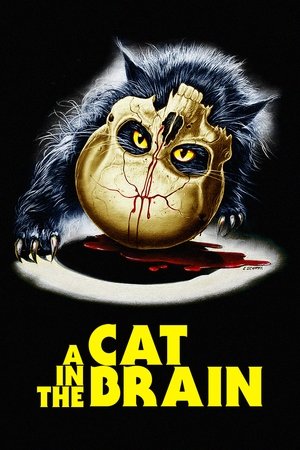 Watch Free A Cat in the Brain (1990)