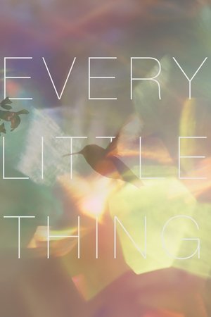 Watch Free Every Little Thing (2024)