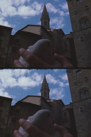 Watch Free From the Notebook of... (2000)