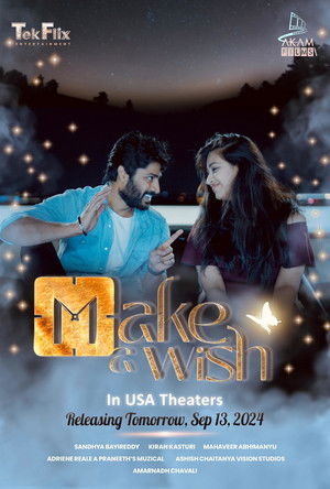 Watch Free Make a Wish (2024)