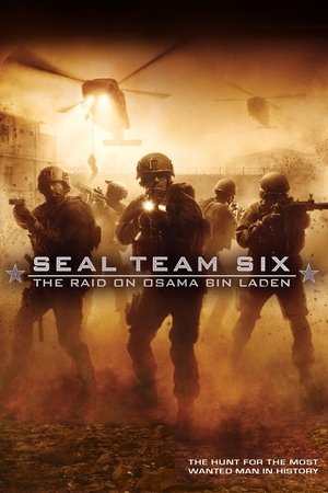 Watch Free Seal Team Six: The Raid on Osama Bin Laden (2012)