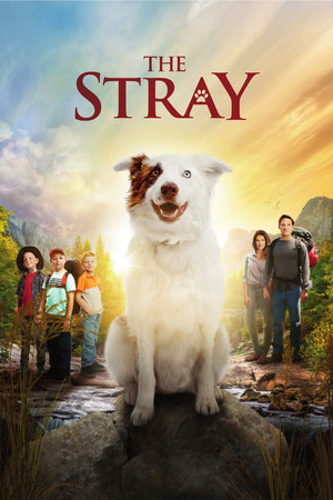 Watch Free The Stray (2017)