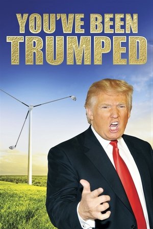 Watch Free Youve Been Trumped (2011)