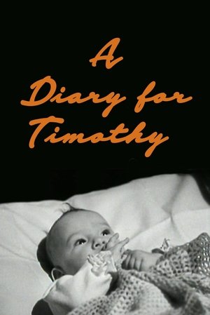 Watch Free A Diary for Timothy (1945)