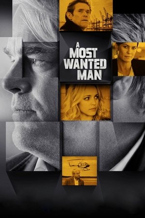 Watch Free A Most Wanted Man (2014)