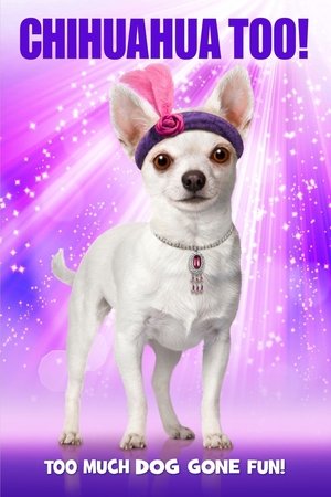 Watch Free Chihuahua Too! (2013)