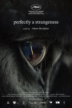 Watch Free Perfectly a Strangeness (2024)