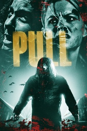 Watch Free Pull (2019)