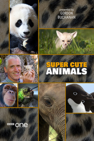 Watch Free Super Cute Animals (2015)