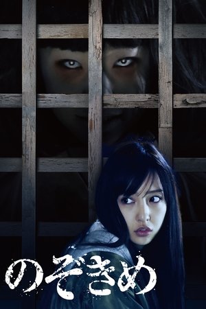 Watch Free The Stare (2016)