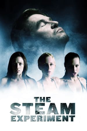 Watch Free The Steam Experiment (2009)