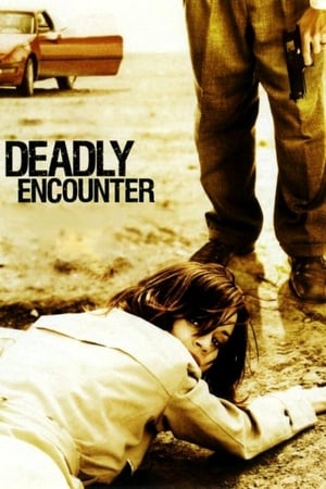 Watch Free A Deadly Encounter (2004)