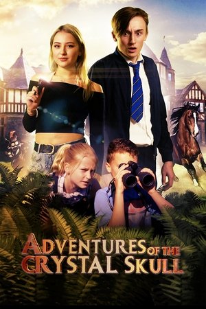 Watch Free Adventures of the Crystal Skull (2022)