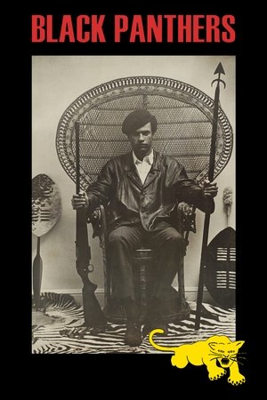 Watch Free Black Panthers (1968)