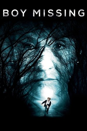 Watch Free Boy Missing (2016)