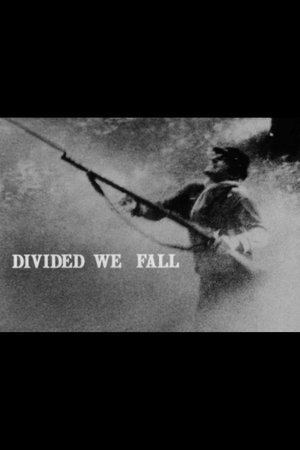 Watch Free Divided We Fall (1982)
