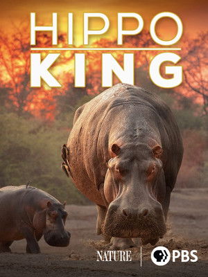 Watch Free Hippo King (2022)