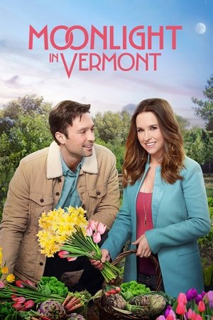 Watch Free Moonlight in Vermont (2017)