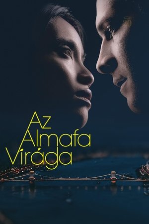 Watch Free Az almafa viraga (2023)