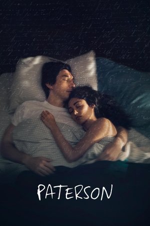 Watch Free Paterson (2016)