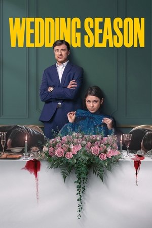 Watch Free Wedding Season (2022-)