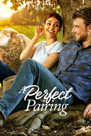Watch Free A Perfect Pairing (2022)