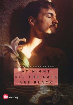 Watch Free At Night All the Cats Are Black (2022)