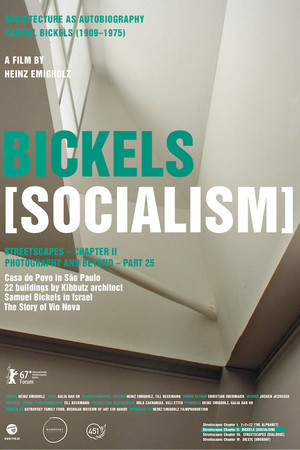 Watch Free Bickels: Socialism (2017)