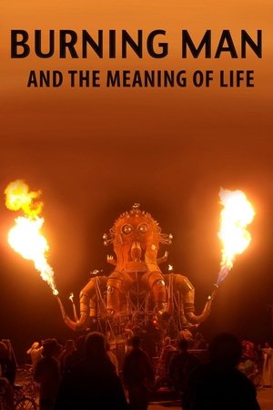 Watch Free Burning Man and the Meaning of Life (2013)