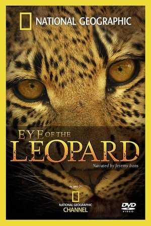 Watch Free Eye of the Leopard (2006)