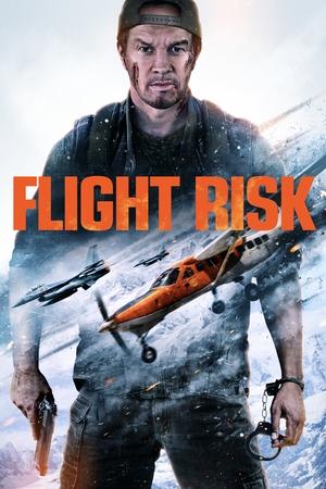 Watch Free Flight Risk (2025)