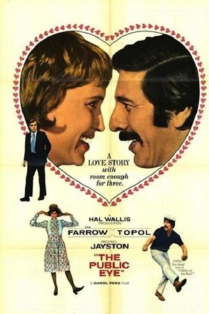 Watch Free The Public Eye (1972)