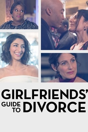 Watch Free Girlfriends Guide to Divorce (2014)