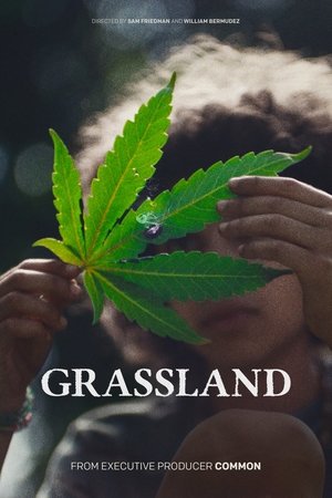 Watch Free Grassland (2024)