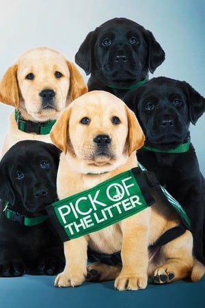 Watch Free Pick of the Litter (2018)