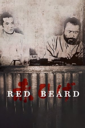 Watch Free Red Beard (1965)